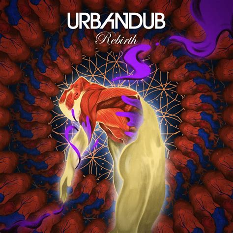 The ‘Rebirth’ of Urbandub .